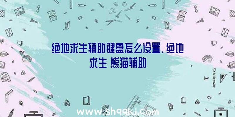 绝地求生辅助键盘怎么设置、绝地求生